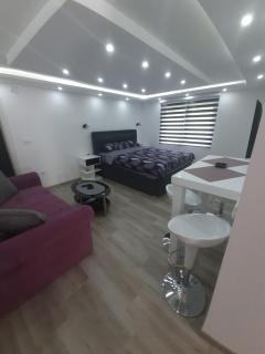 Adrijana 2 Apartmani - Vrnjačka Banja - 9