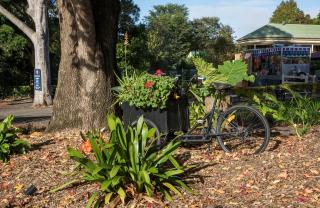 Maleny Hills Motel - 7