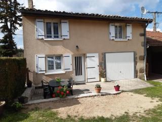 Gîte 110m²: 3 ch, terrasse, jardin, animaux acceptés, wifi, charges incluses, draps fournis - FR-1-496-248 - Saint-Jean-la-Vêtre - 7