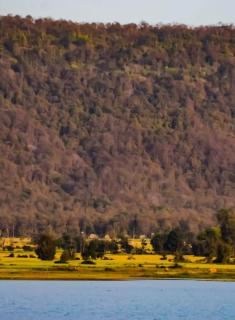 Bear Valley Camp - 3