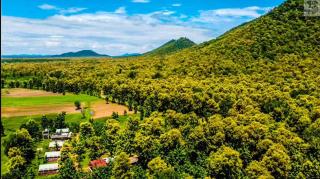 Bear Valley Camp - 6