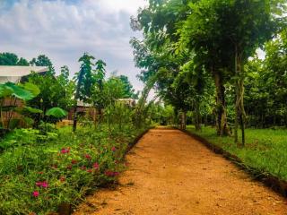 Bear Valley Camp - 1