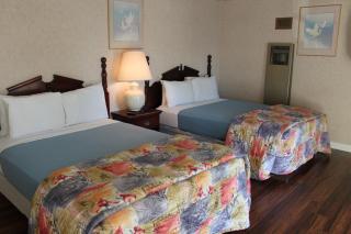 Alamo Inn and Suites - Convention Center - Anaheim - 9