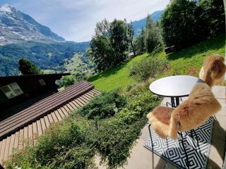 MOM - Alpine Boutique Apartments, Alpstein Eiger View Terrace, City Center - Grindelwald - 1