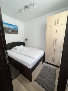 Kraljevi Cardaci Olja - Kopaonik - 7