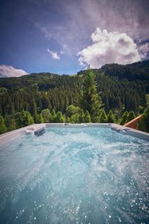Chalet Tannenbaum - Saalbach Hinterglemm - 8