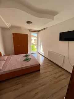 Vila Nei - Lugoj - 4