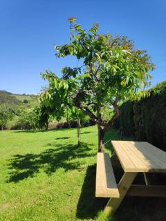 Casa de campo en pleno centro de Asturias - 9