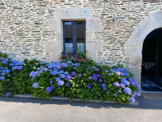 Le gîte d'Arthur - 7