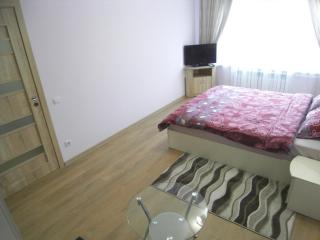 Modern Apartment - Chişinău - 1