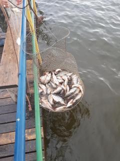 Гостевой дом Azia - 1