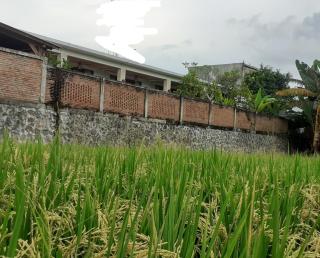 Surya Lombok Accommodation - Selong Belanak - 3