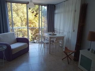 APARTAMENTO TRAMONTANA_PLATJA D'ARO (COSTA BRAVA) - 2