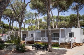 Anxur Village Camping - 1