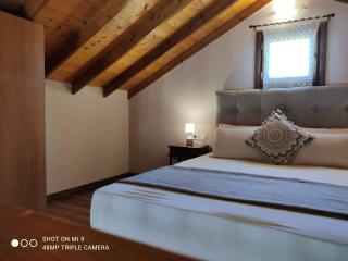 Elia house 1 astoning sea view among the olive trees - Patitiri - 8