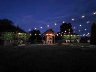 Pensiunea Elena - Criţ - 6