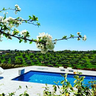 angolo di paradiso - Formello - 0