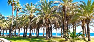 VISTA AZUL No1 - Torremolinos - 0