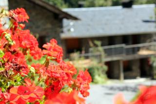 Apartaments Turístics Vilaró - 1