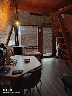 CabanuțA Young Valley - 9