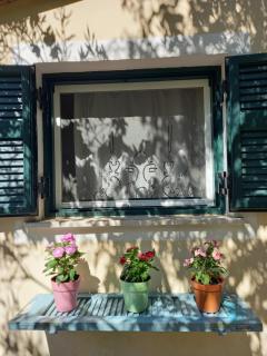 Casa Natasa - 6