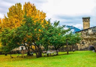 Iamze's Guest House - Mestia - 7