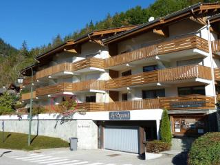Appartement cosy 4 pers, centre La Clusaz, garage - FR-1-304-11 - La Clusaz - 9