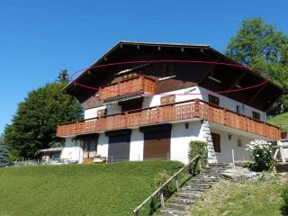 Appartement 3 chambres, lumineux, proche des pistes, wifi, parking inclus - FR-1-304-150 - La Clusaz - 9