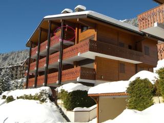 Charmant 2 pièces avec cheminée, proche des pistes et commerces, garage inclus! - FR-1-304-85 - La Clusaz - 8