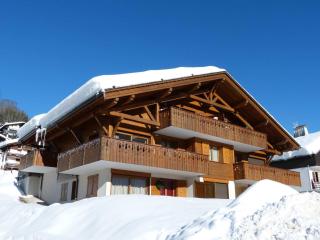 Bel appartement 2 pièces proche pistes à La Clusaz - FR-1-304-133 - 7