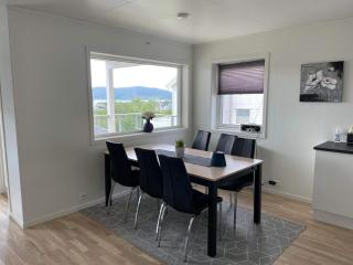 Veien til Senja - Finnsnes - 6