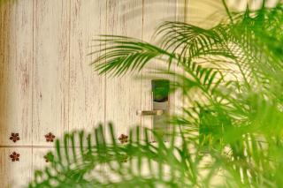 Hotel Casa Canabal by Faranda Boutique - Cartagena de Indias - 1
