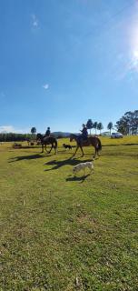 Cabana 16 - São Francisco de Paula - 3
