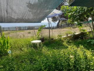 Traditional Guest House - Agia Paraskevi - 8
