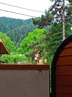 Guest house DAVID - Bordzjomi - 6