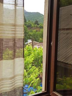 Guest house DAVID - Bordzjomi - 4
