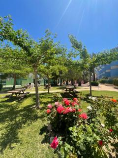 Atico con solarium privado en Aguamarina - Orihuela-Costa - 8