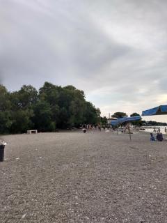 Ζεστή φωλιά - 4