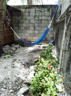 Sustainable Cabain - Cozumel - 1