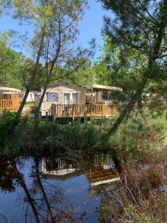Envie d un break de paysages sauvages et de nature ce mobile home neuf tout confort climatise idealement situe au bord de l eau dans un camping 4 etoiles vous attend pour un week end quelques jours ou des vacances en famille - Cap-Ferret - 1