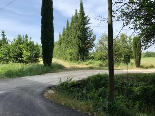 Le Jardin d'Érables St Remy 7 HA Piscine/Clim - Paluds de Noves - 9