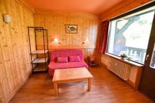 Bright Studio With Balcony - Combloux - 7