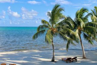 Tara Del Sol Resort - 1