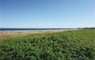 Strandhaus - Olpenitz - 3