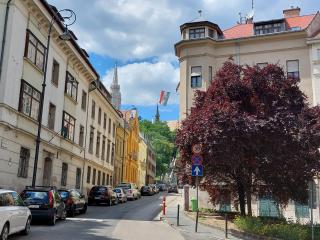 Sunny Studio at the Castle - Budapest - 9