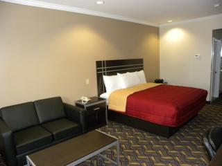 Palace Inn Kingwood - Humble - 3