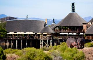 Buffelsdrift Game Lodge - Oudtshoorn - 2