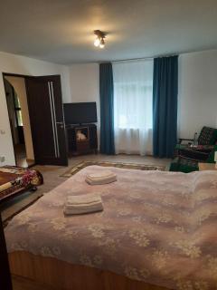 Casa Dumitru si Elena Ciocanesti Bucovina - Ciocăneşti - 5