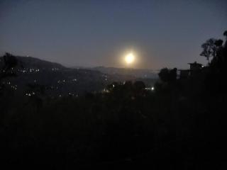 Hotel Le Halcyon Kasauli - 1