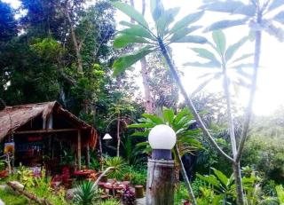 Sky garden Lombok - Tetebatu - 8
